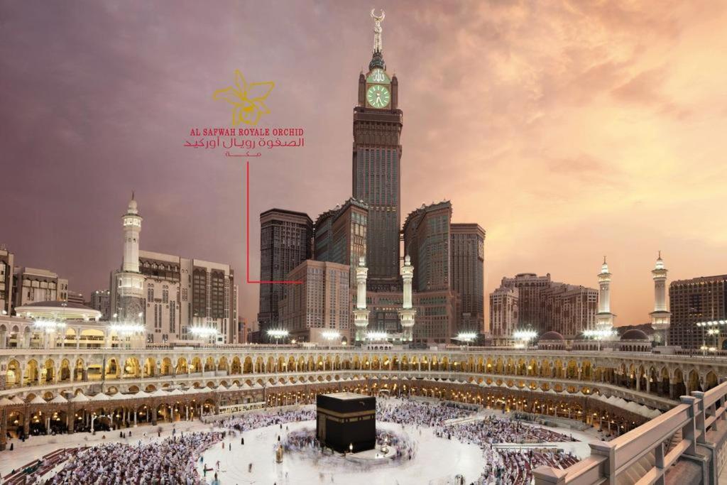 Al Safwah Orchid